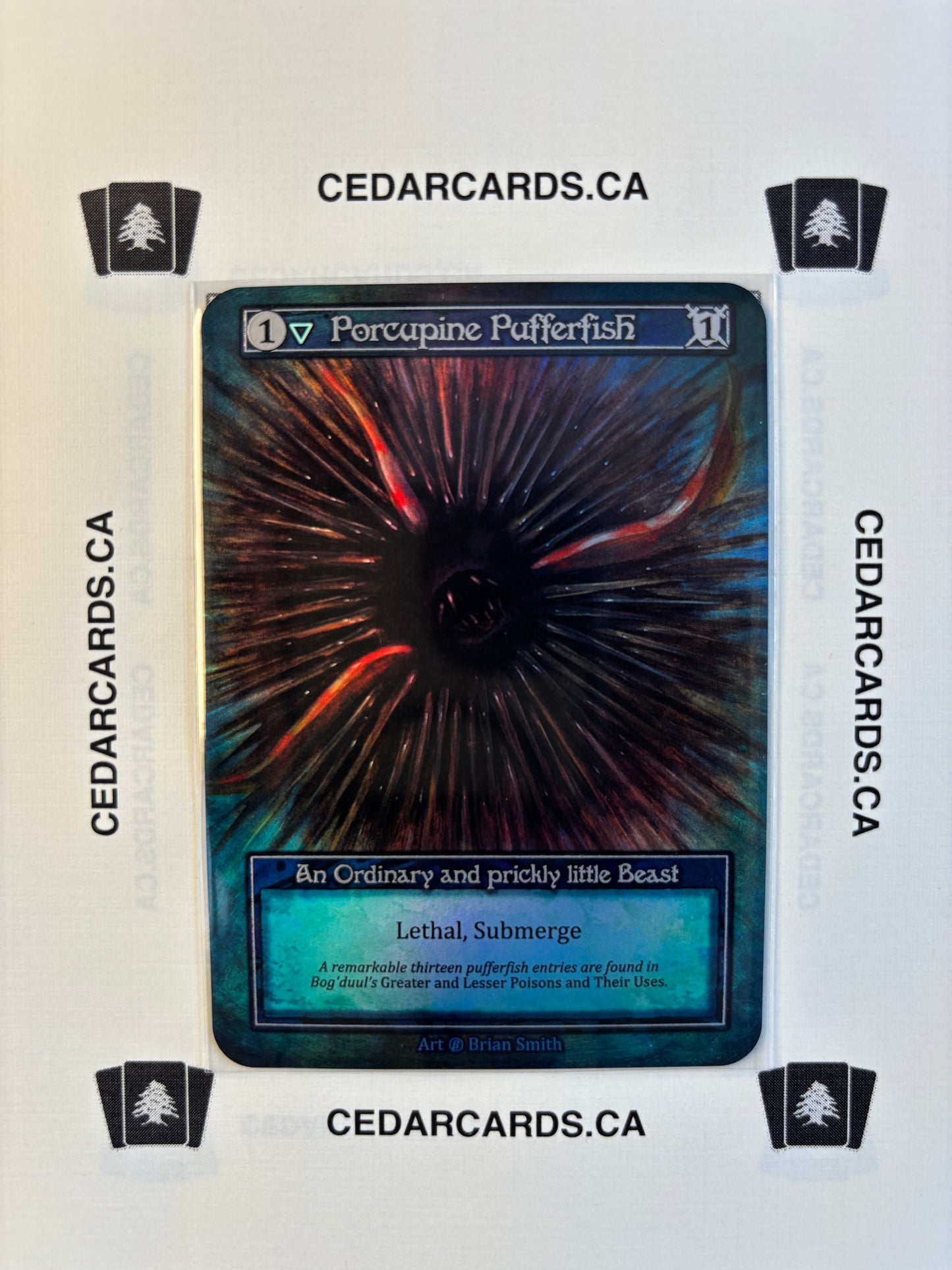 Porcupine Pufferfish – Beta (Foil)