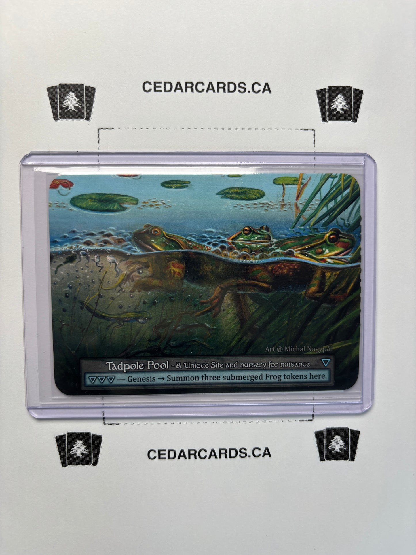 Tadpole Pool – Beta (Non-Foil)