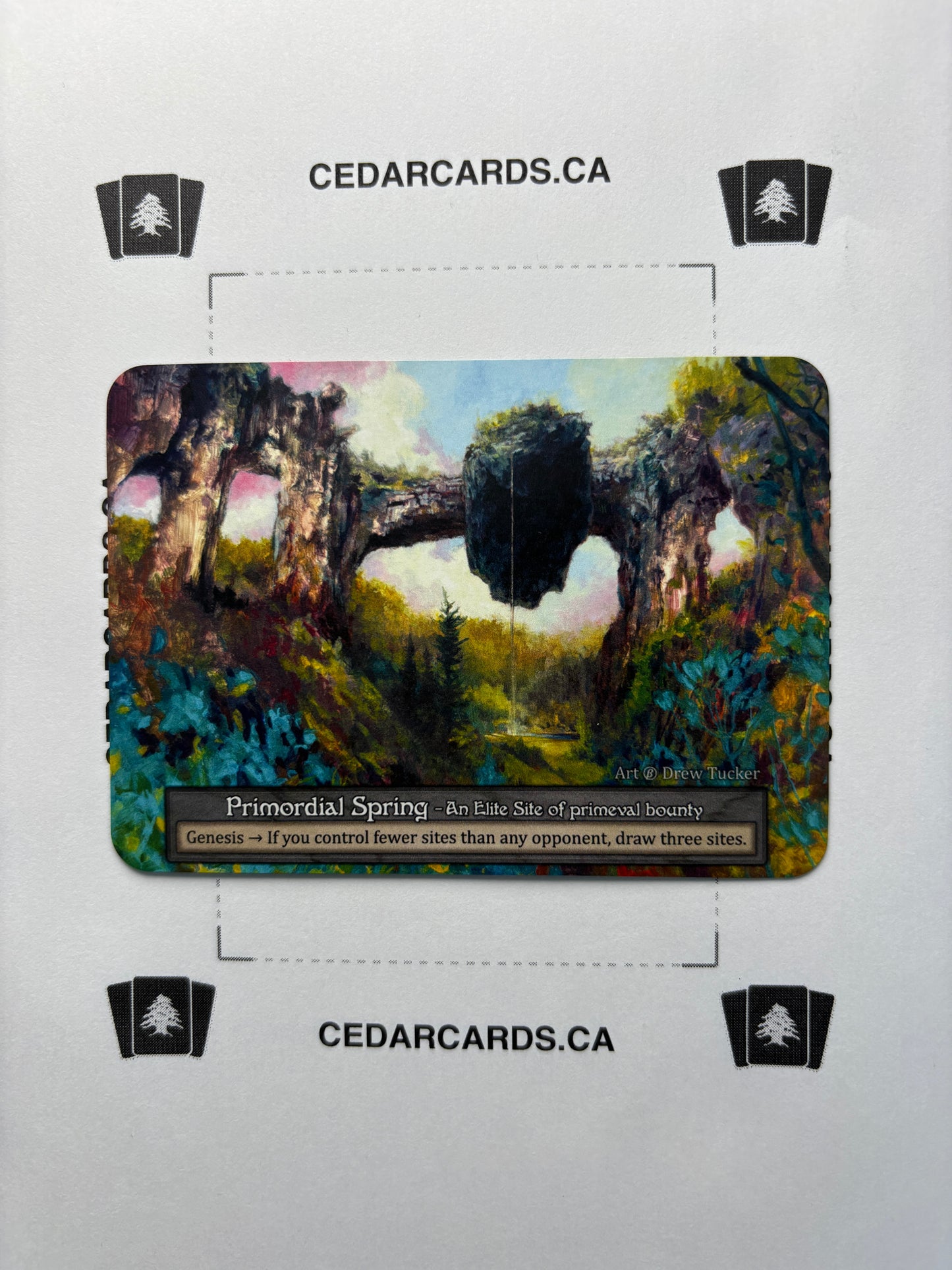 Primordial Springs – Beta (Non-Foil)