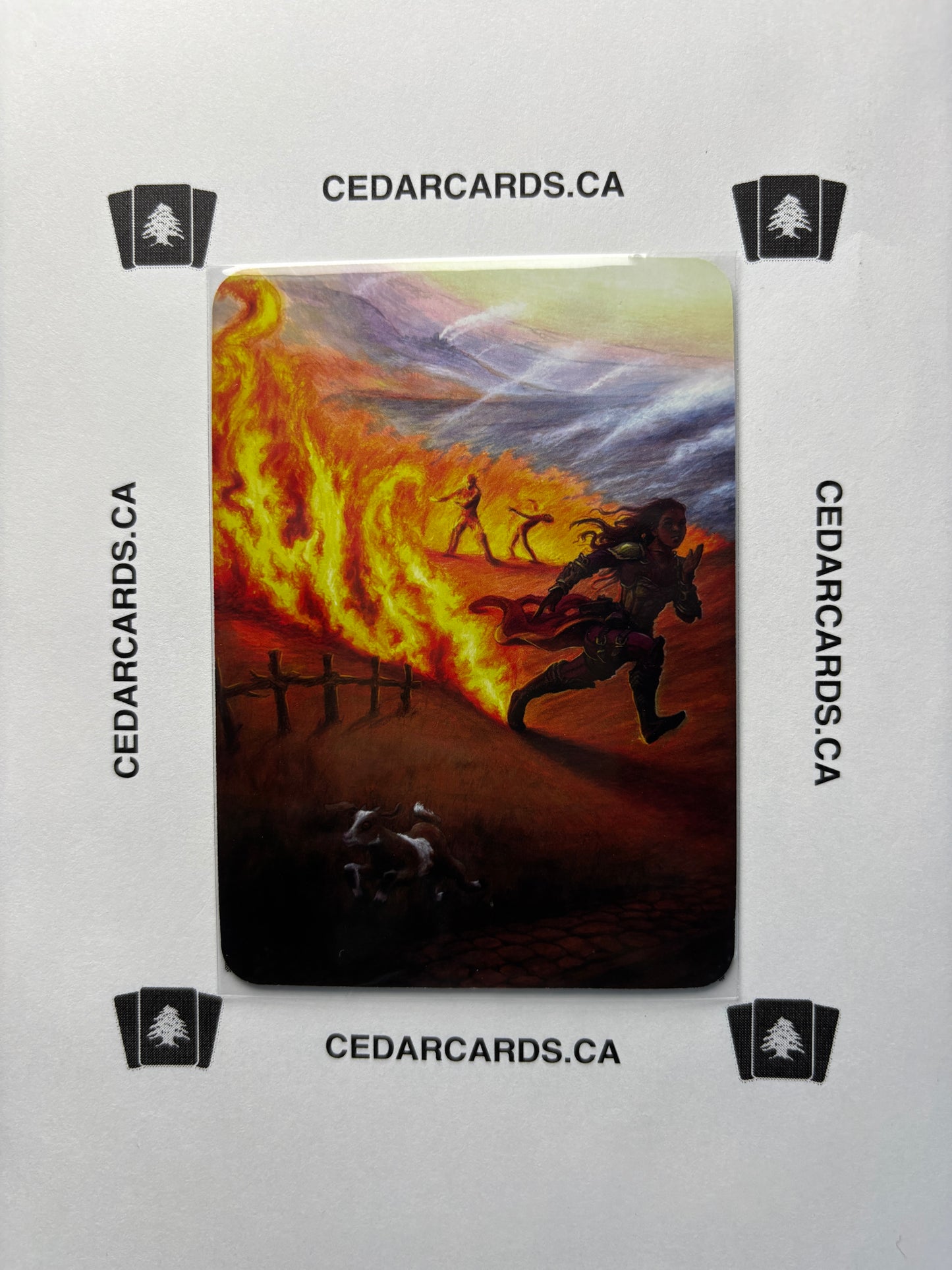 Blaze – Beta (Foil)