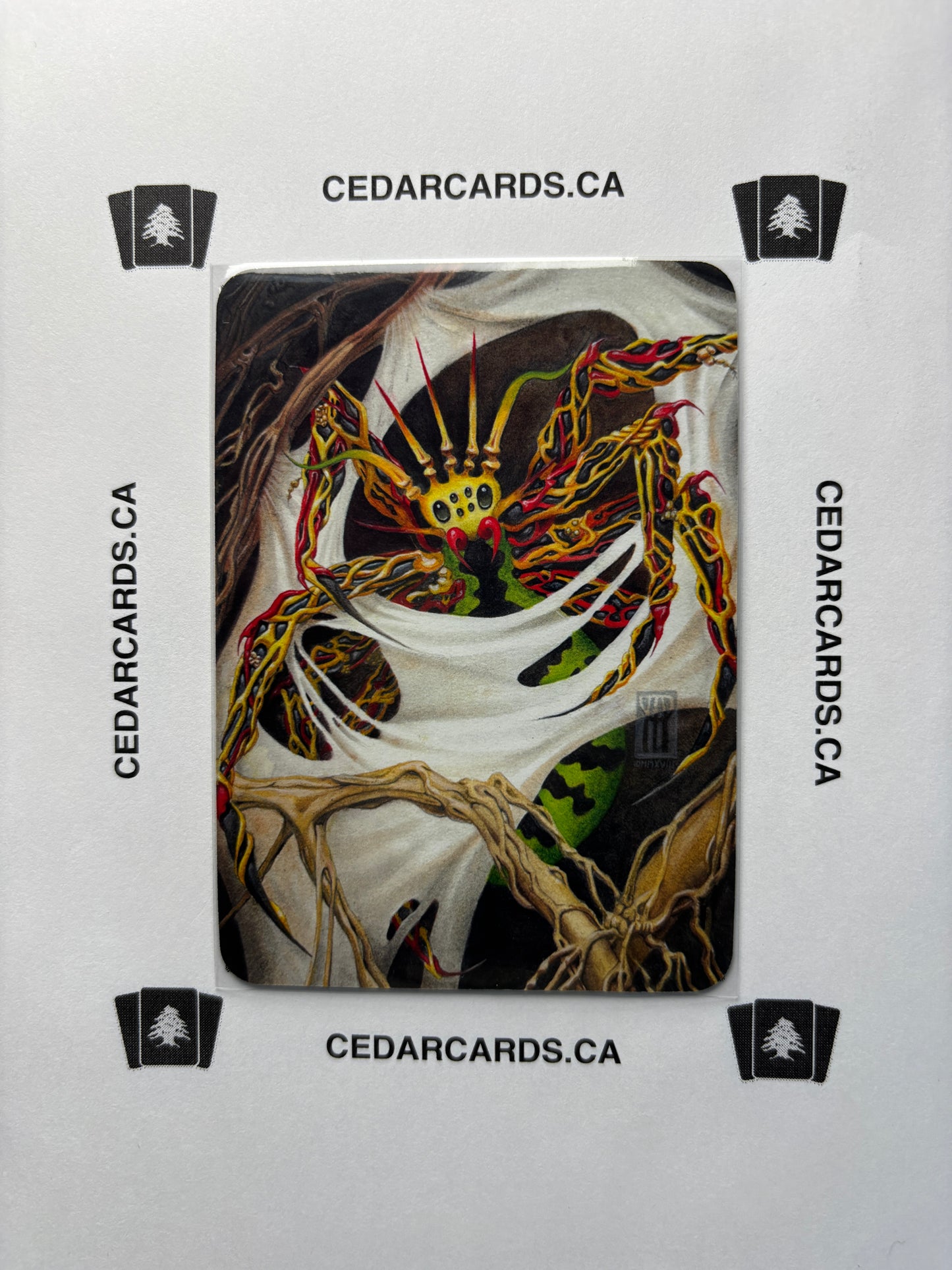 Root Spider – Beta (Foil)
