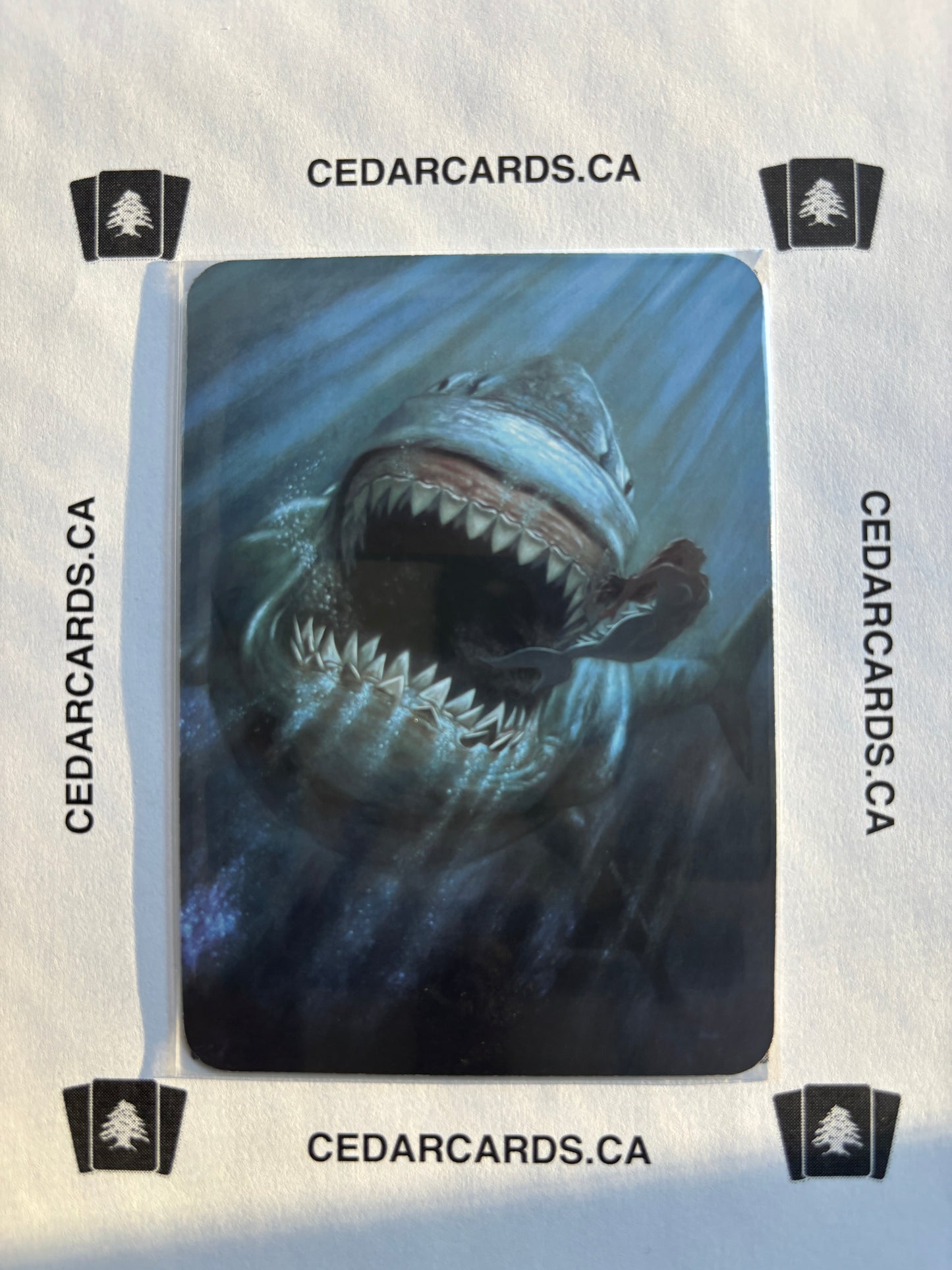 Giant Shark – Beta (Foil)
