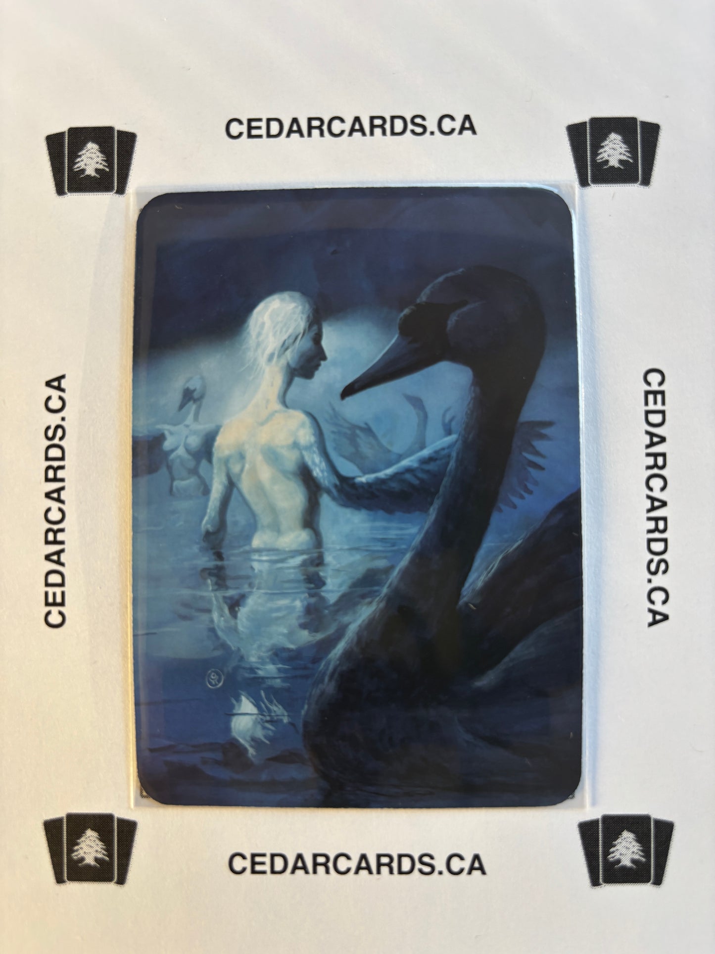 Swan Maidens – Beta (Foil)
