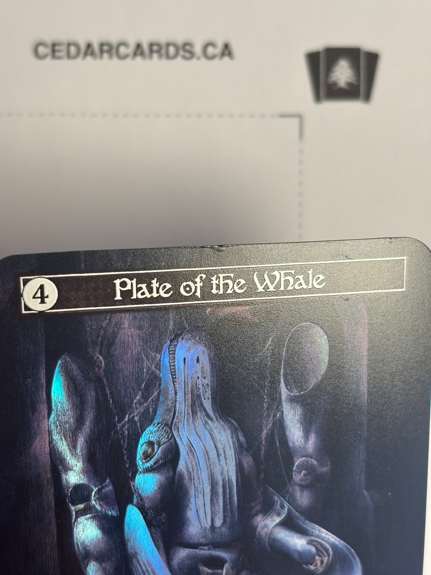 Plate of the whale (foil)