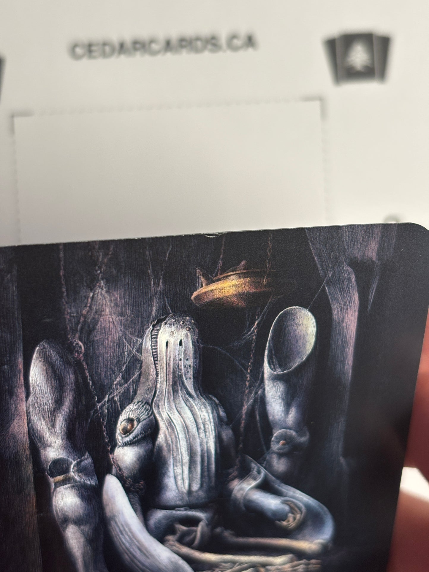 Plate of the whale (foil)