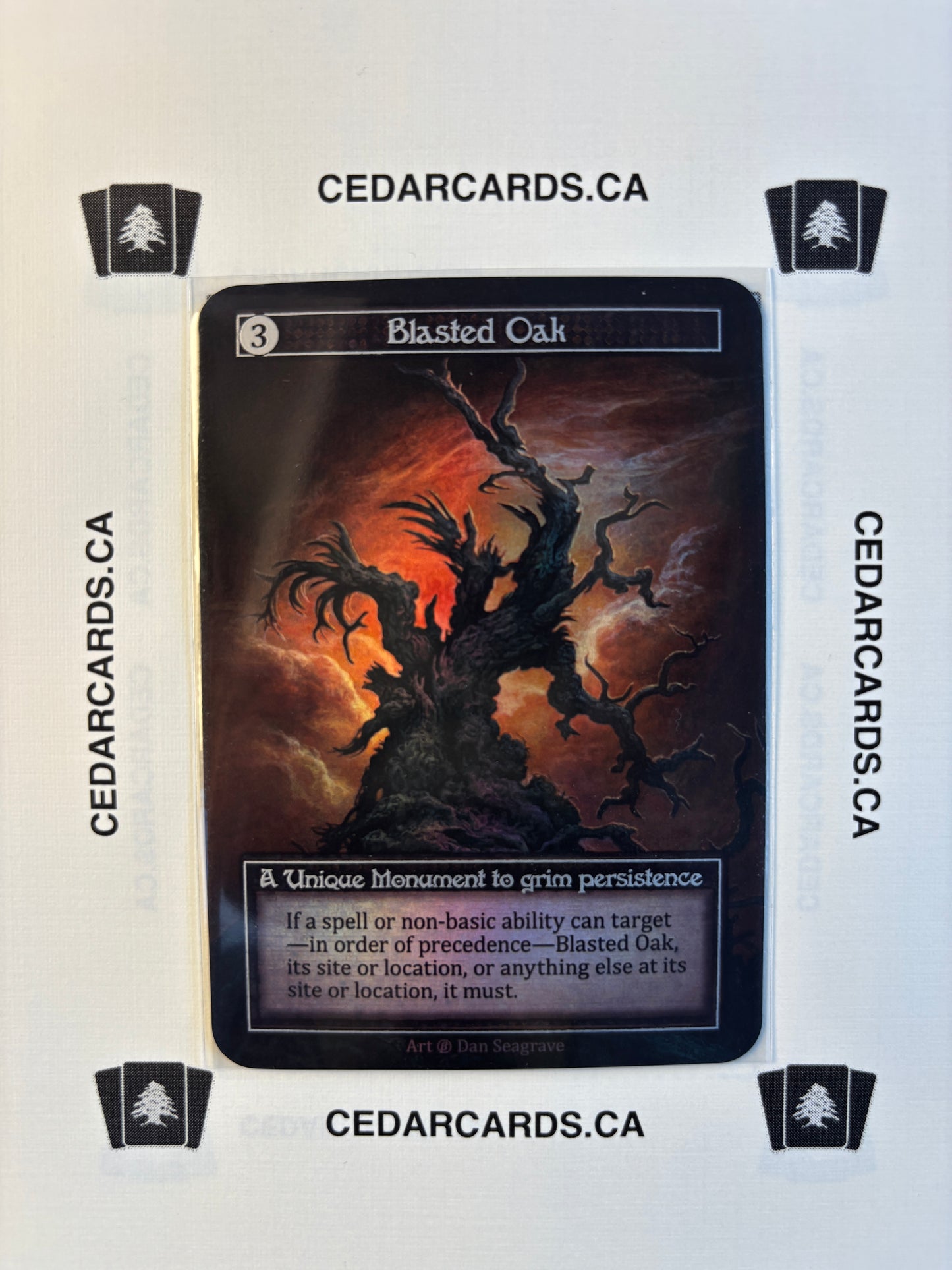 Blasted Oak – Beta (Foil)