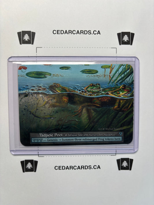 Tadpole Pool – Beta (Non-Foil)