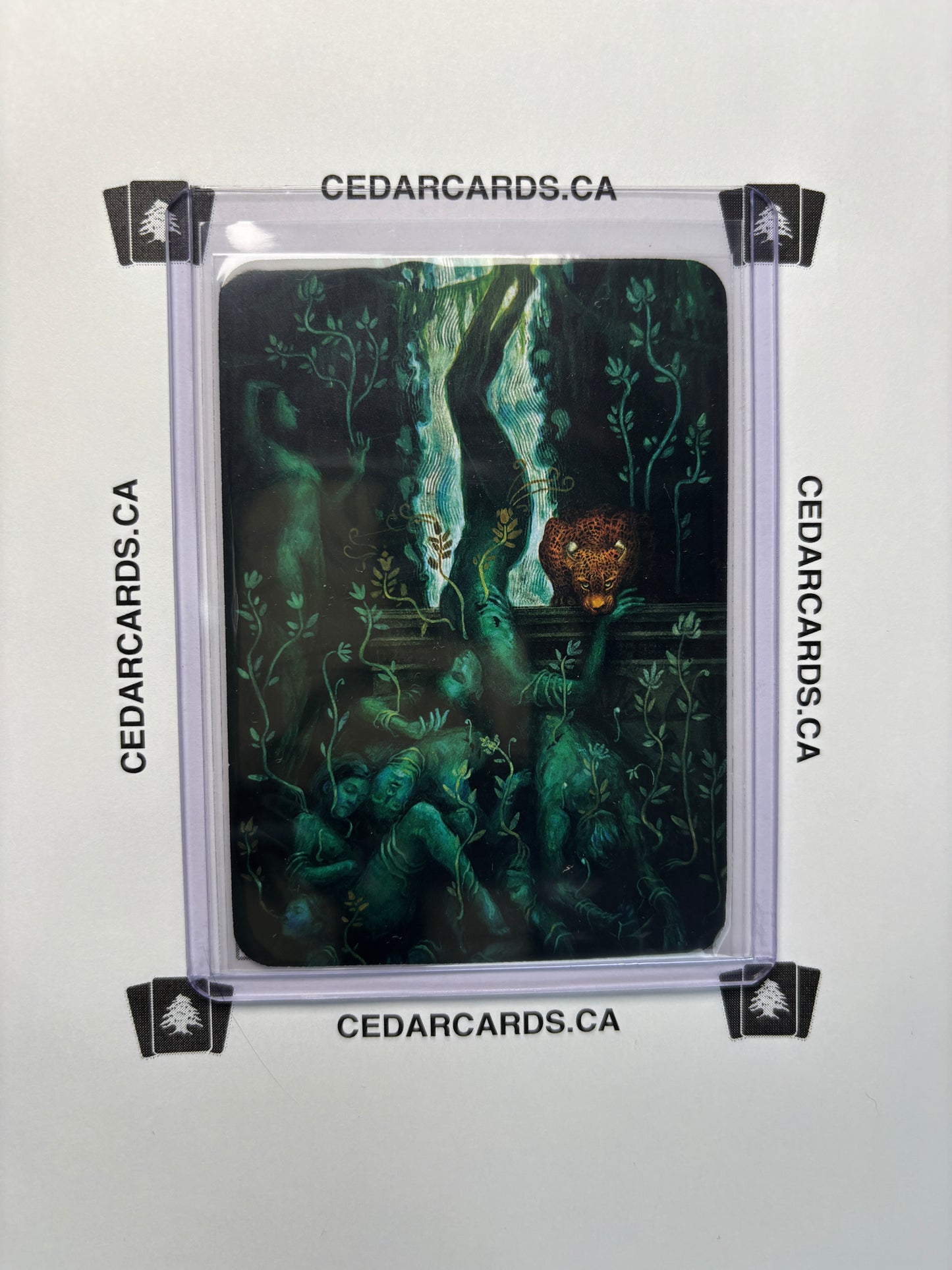 Lifewish – Gothic (Foil)