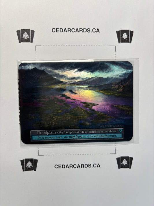 Floodplain – Beta (Foil)