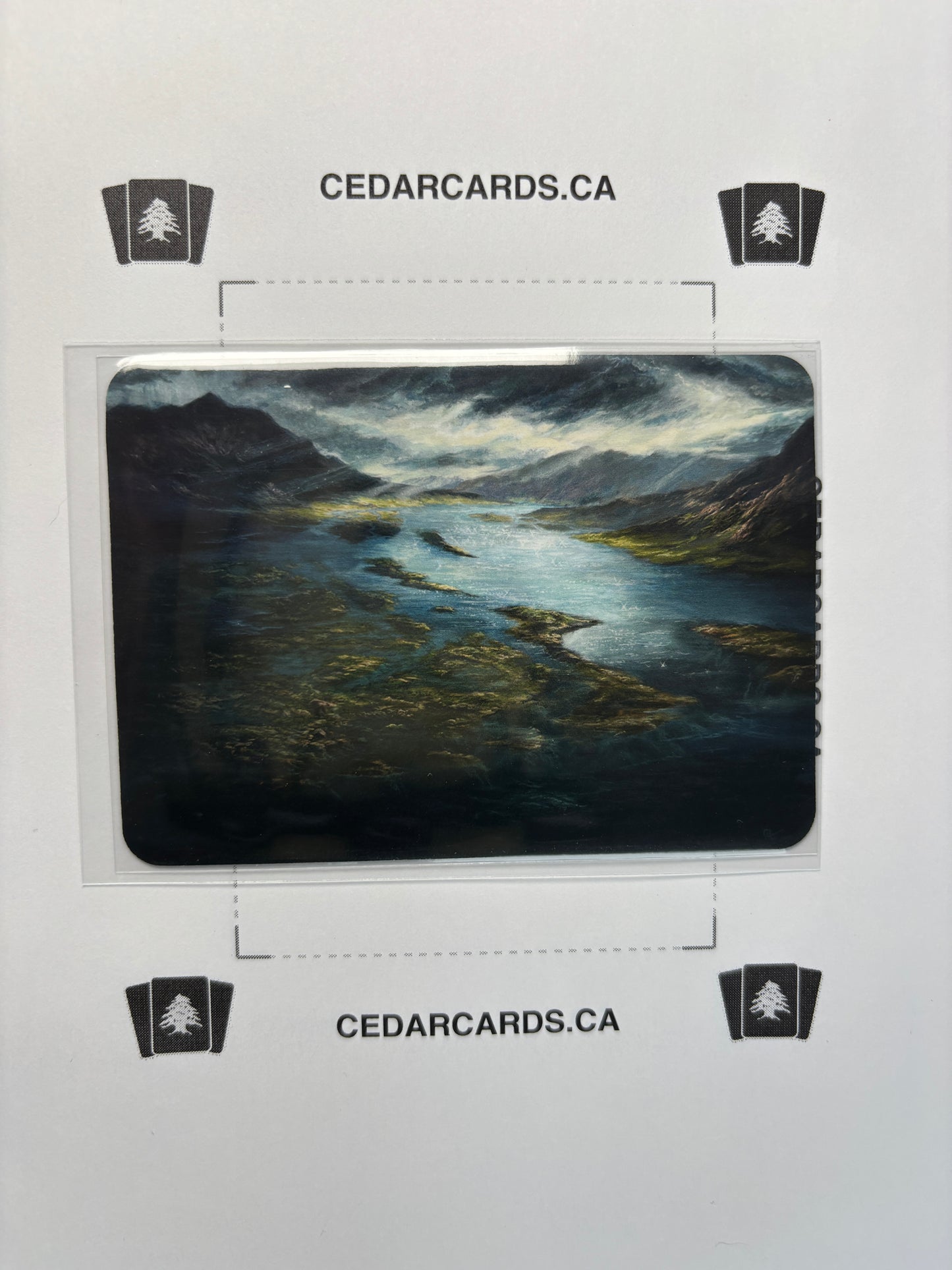 Floodplain – Beta (Foil)