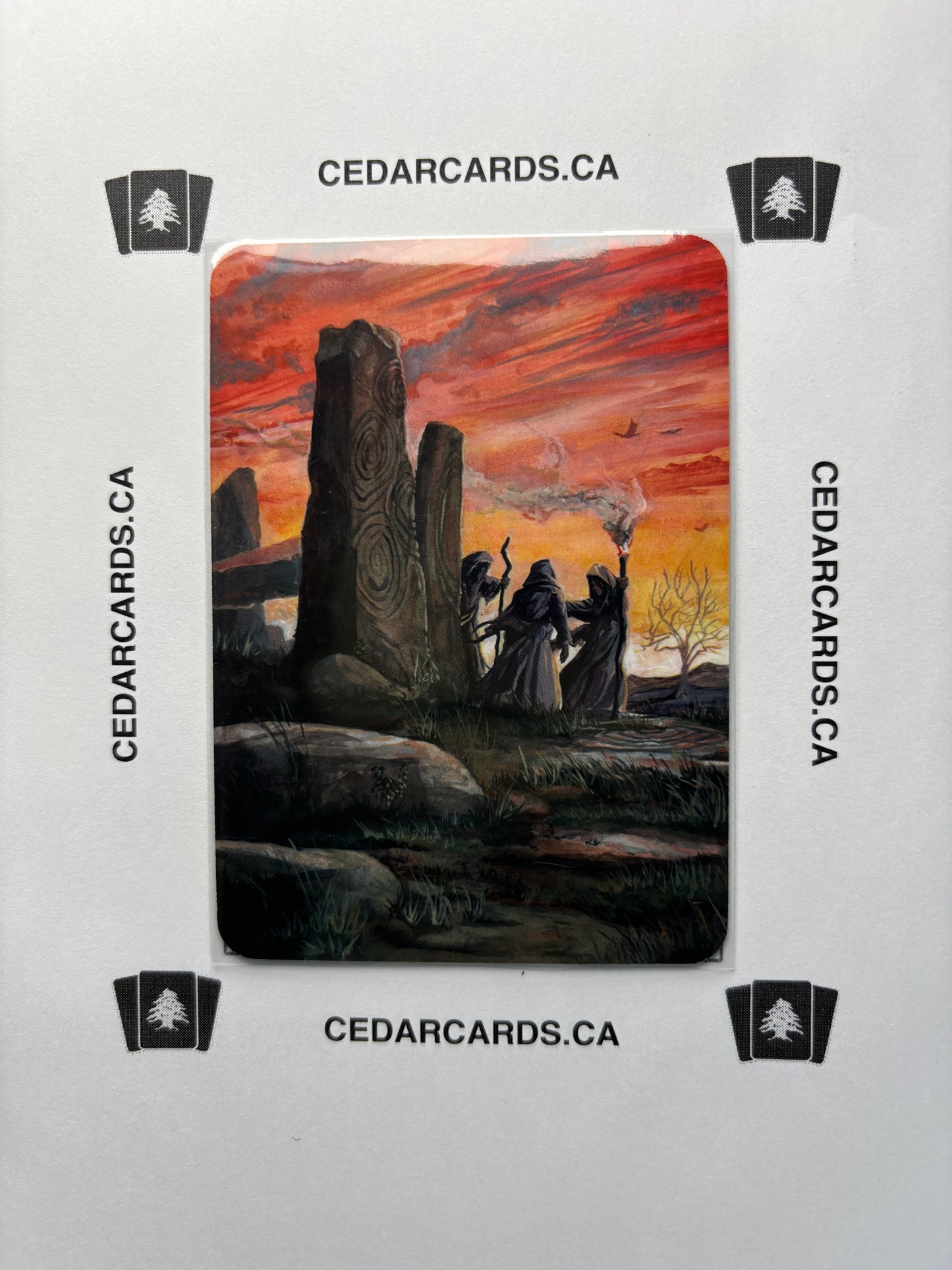 Mordic Druids – Beta (Foil)