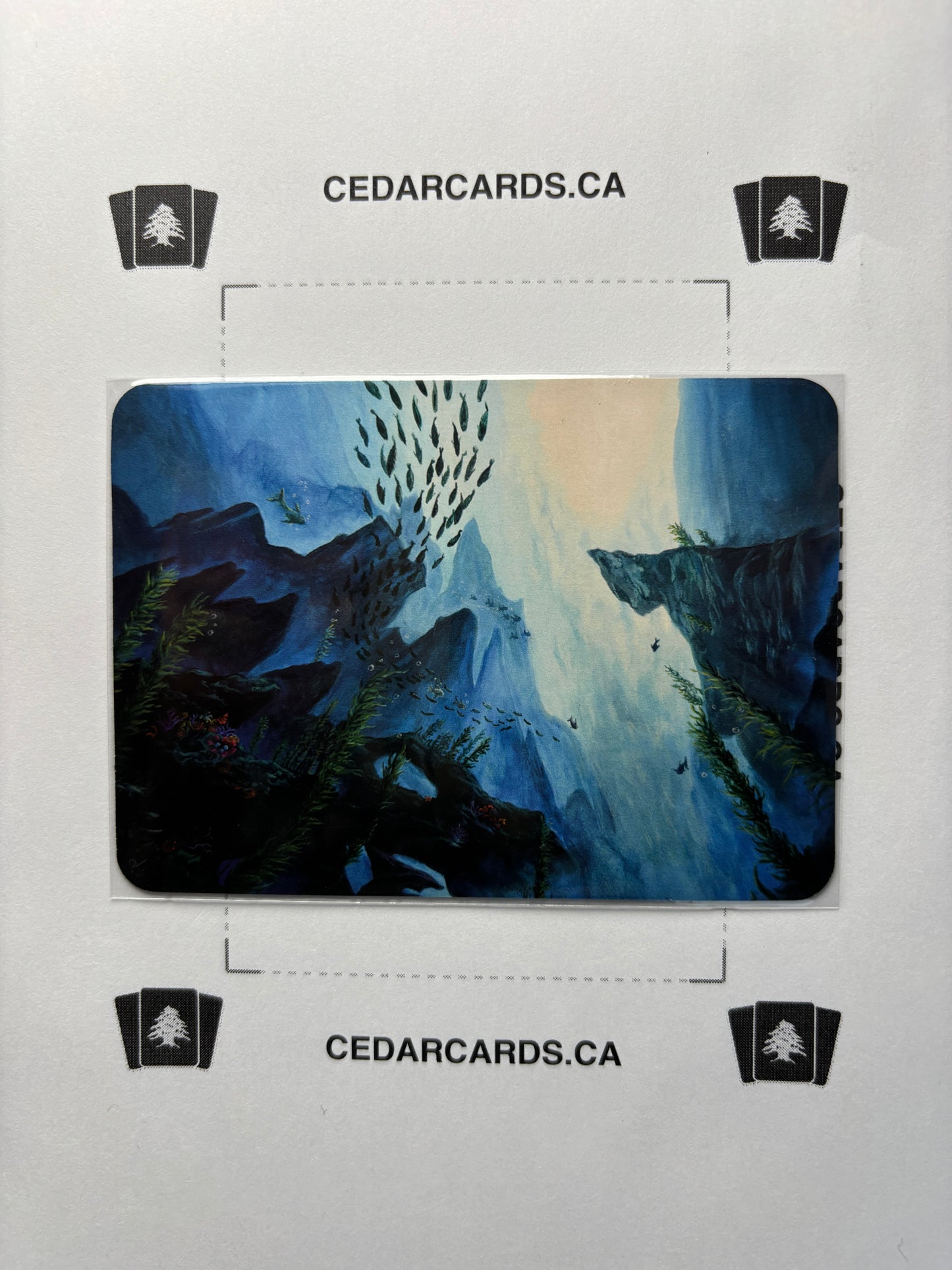 Undertow – Beta (Foil)