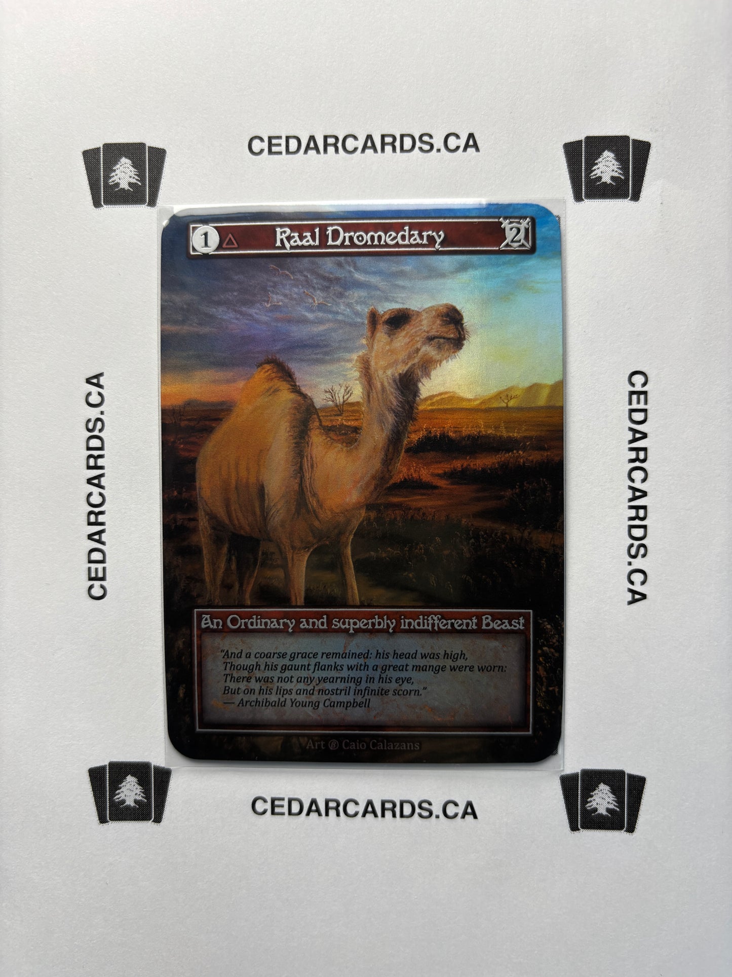 Raal Dromedary – Beta (Foil)