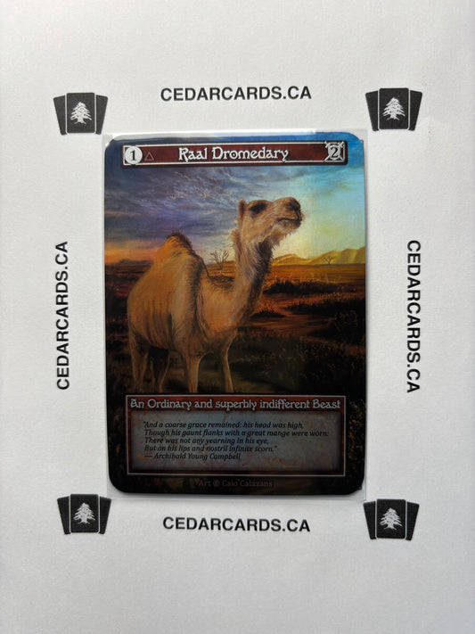 Raal Dromedary – Beta (Foil)