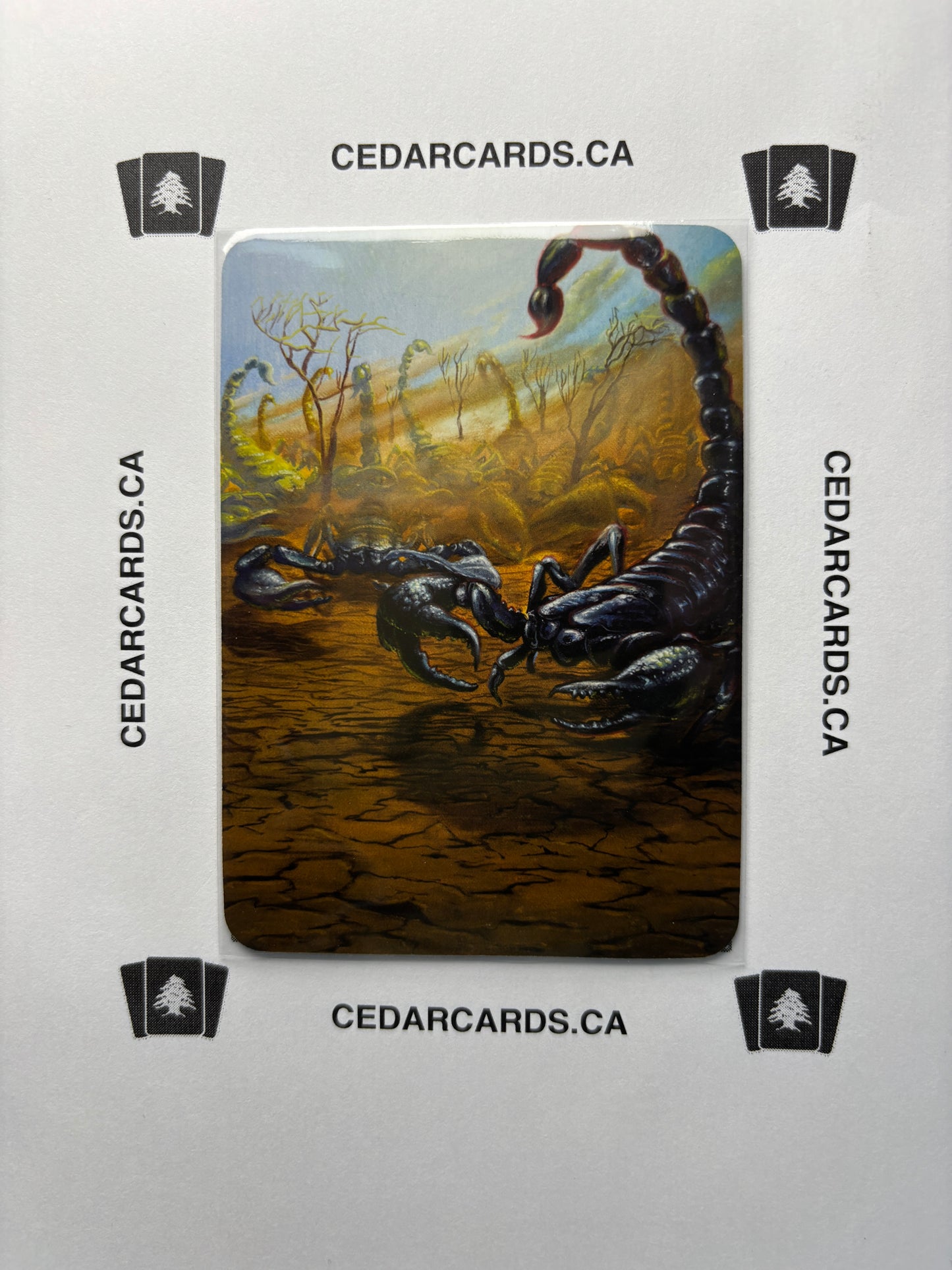 Sirocco Scorpions – Beta (Foil)