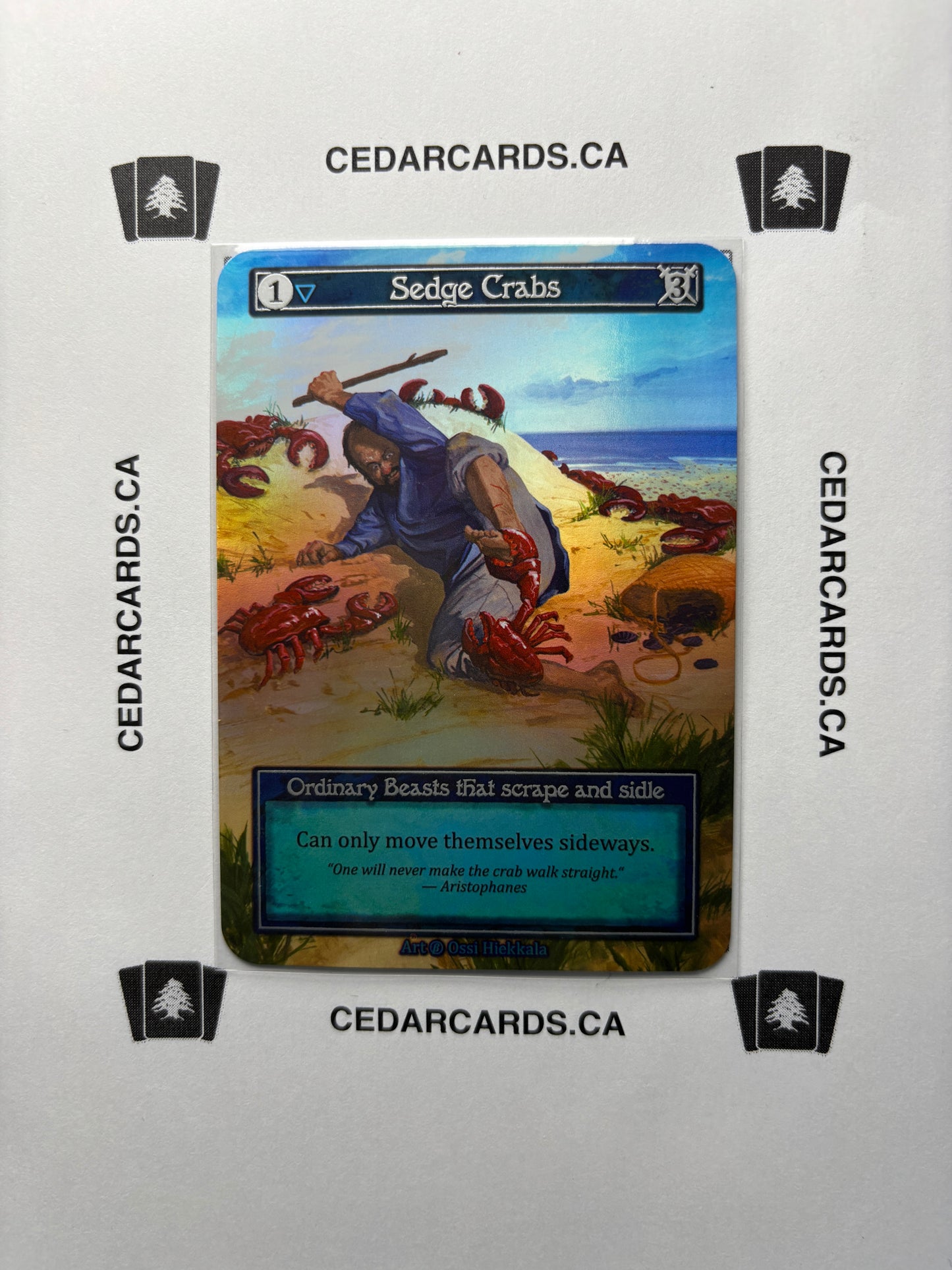 Sedge Crabs – Beta (Foil)