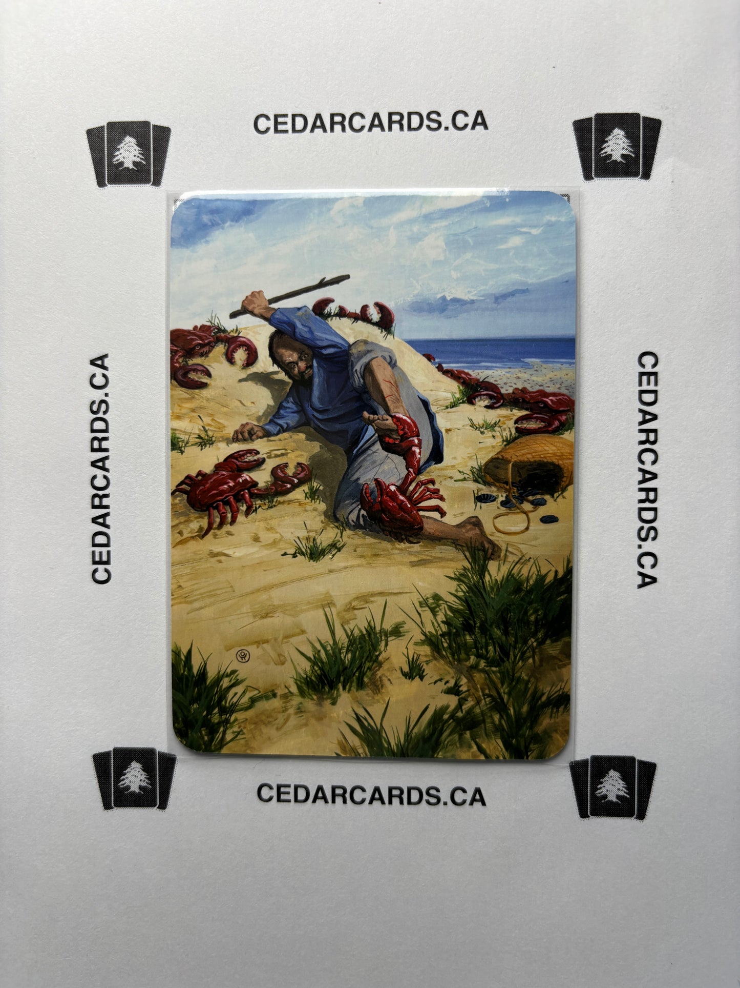 Sedge Crabs – Beta (Foil)