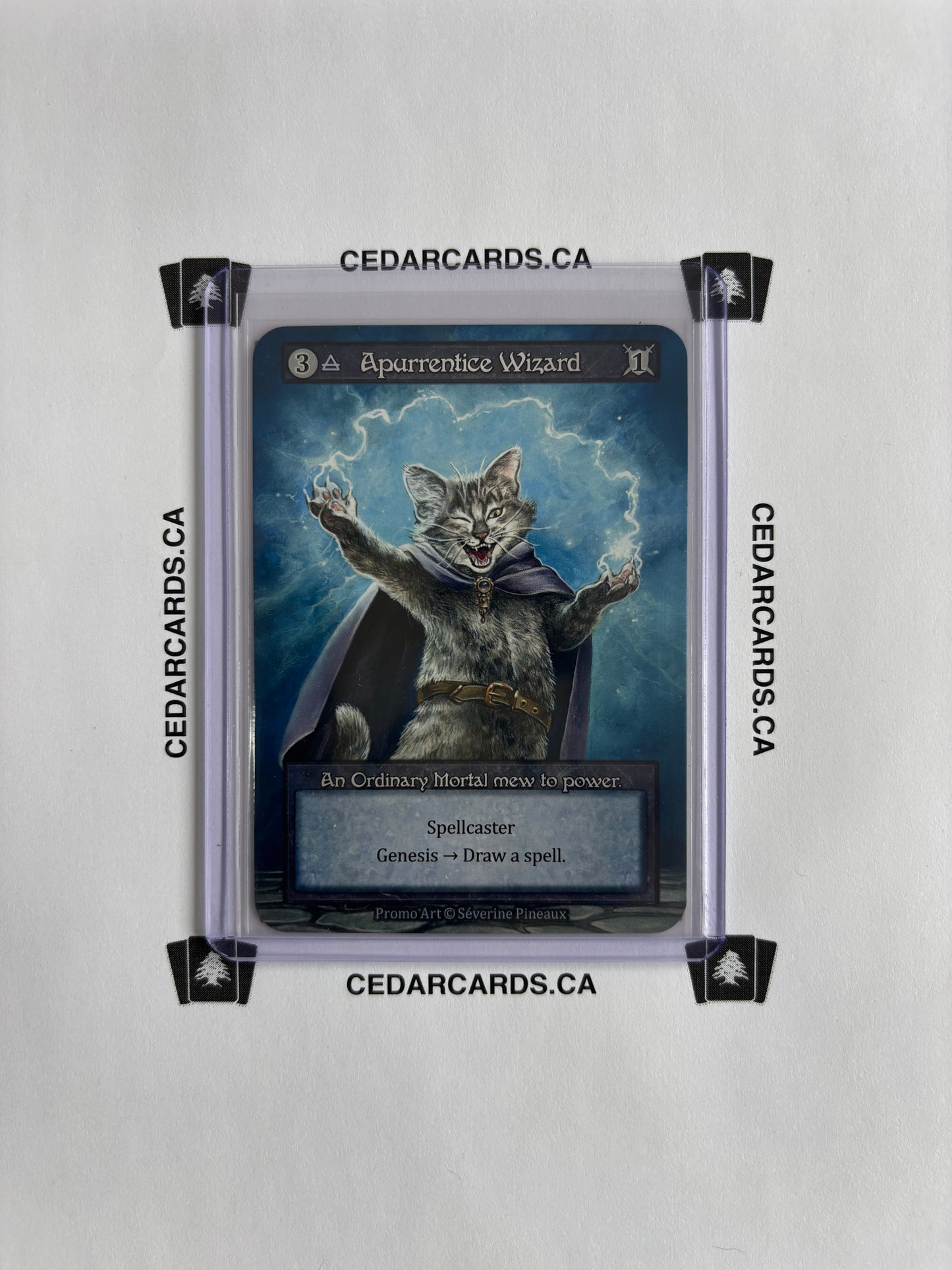 Apurrentice Wizard – Beta (Non-Foil)