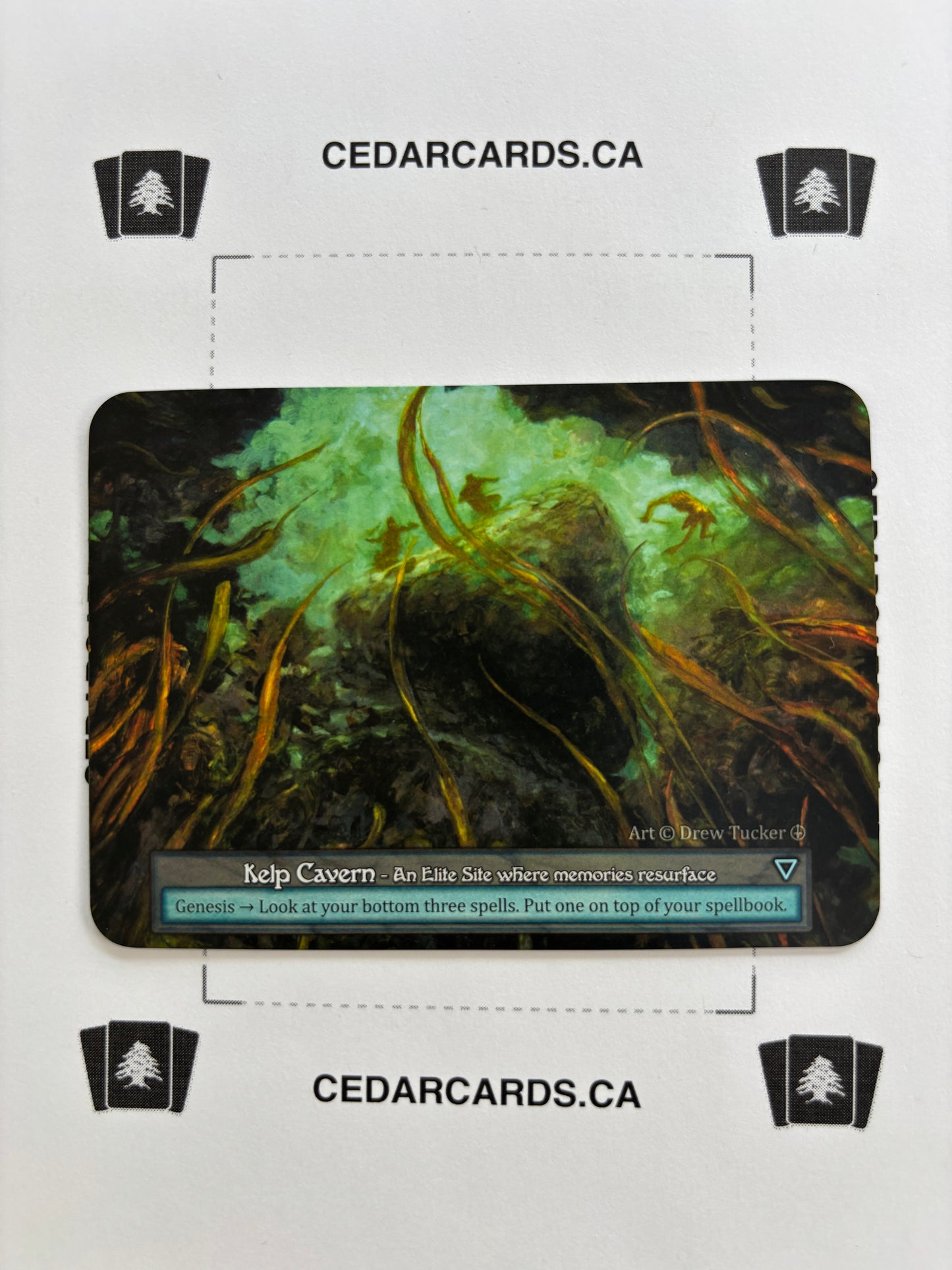 Kelp Cavern  – Arthurian Legends (Non-Foil)