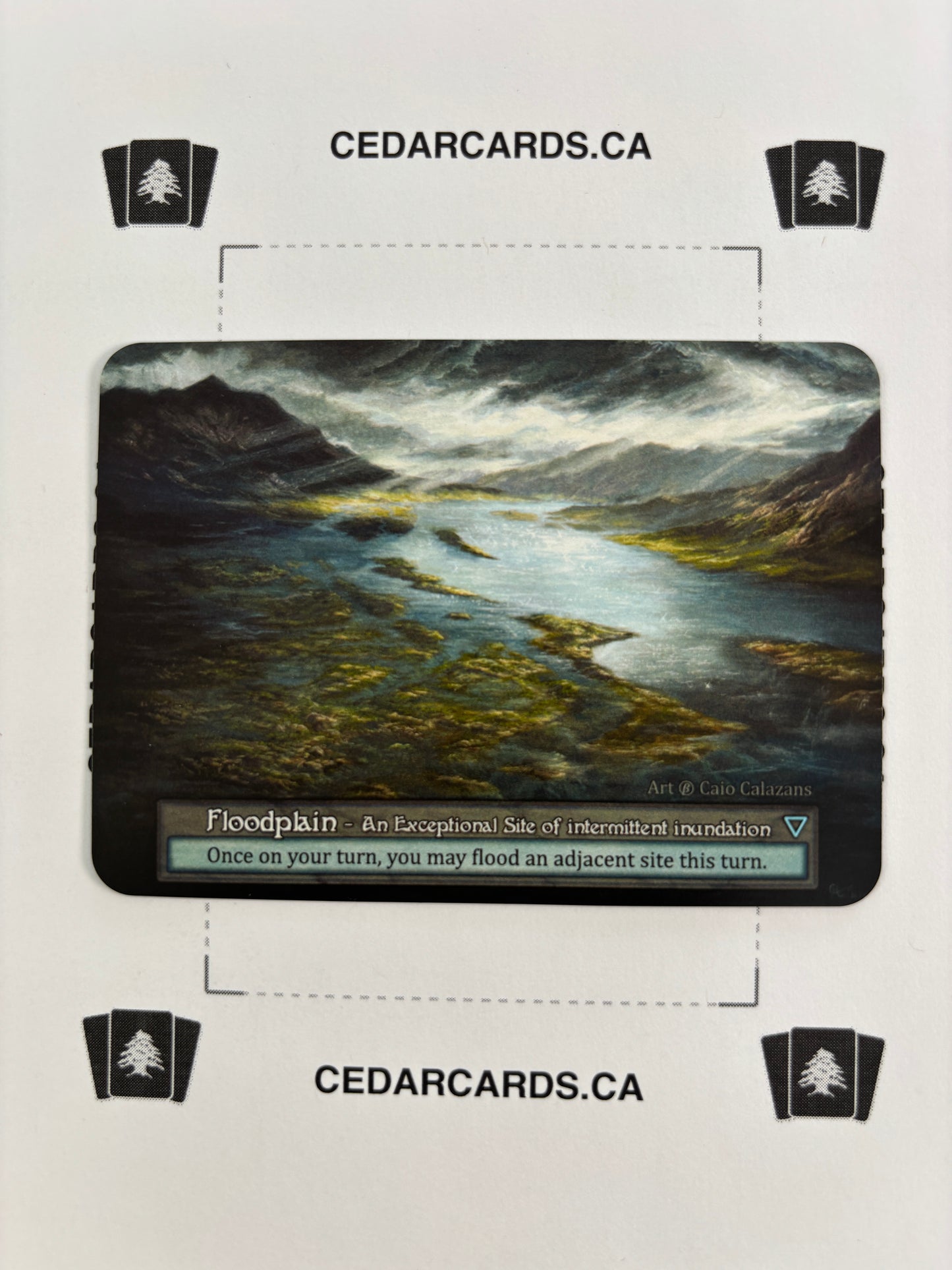 Floodplain – Beta (Non-Foil)