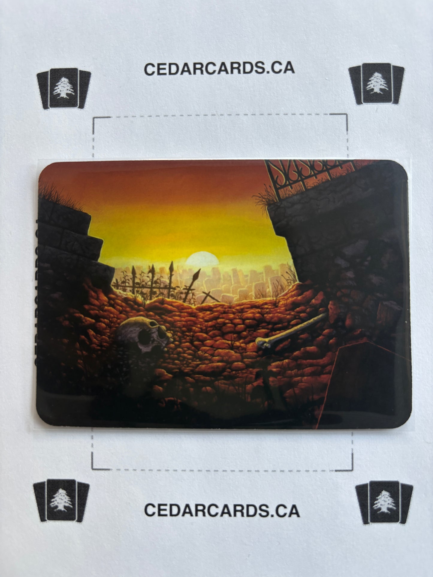 Shallow Grave – Gothic (Foil)