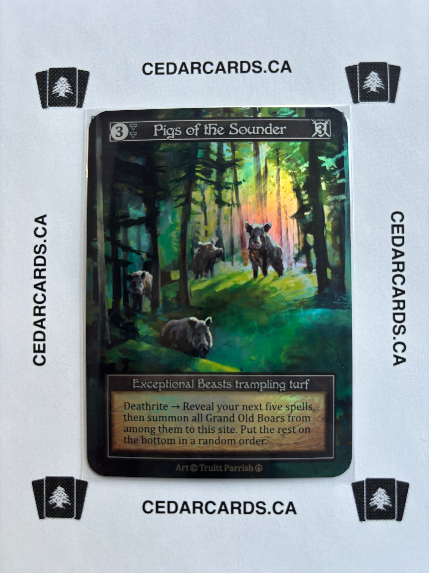 Pigs of the Sounder – Arthurian Legends (Foil)