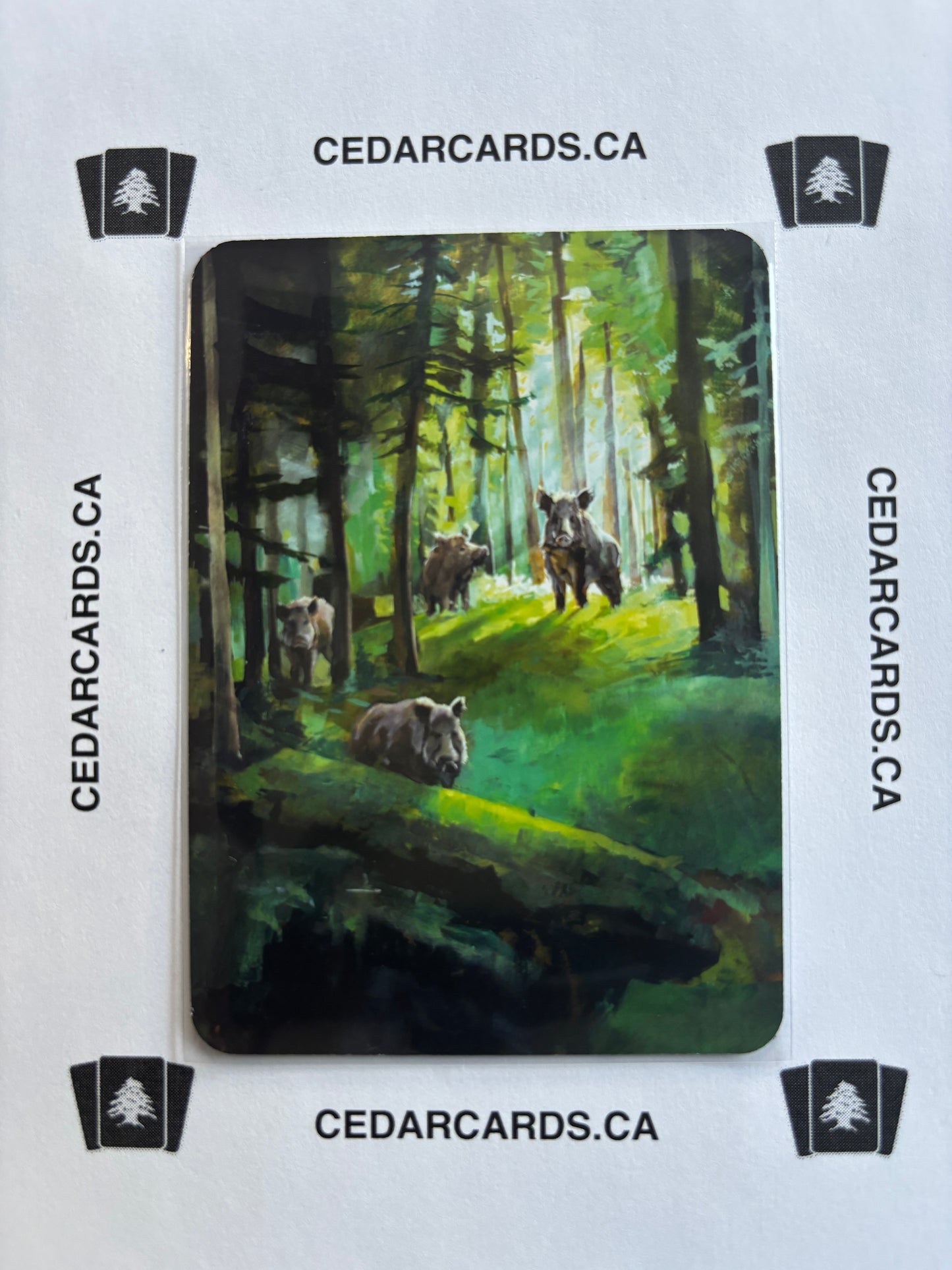 Pigs of the Sounder – Arthurian Legends (Foil)