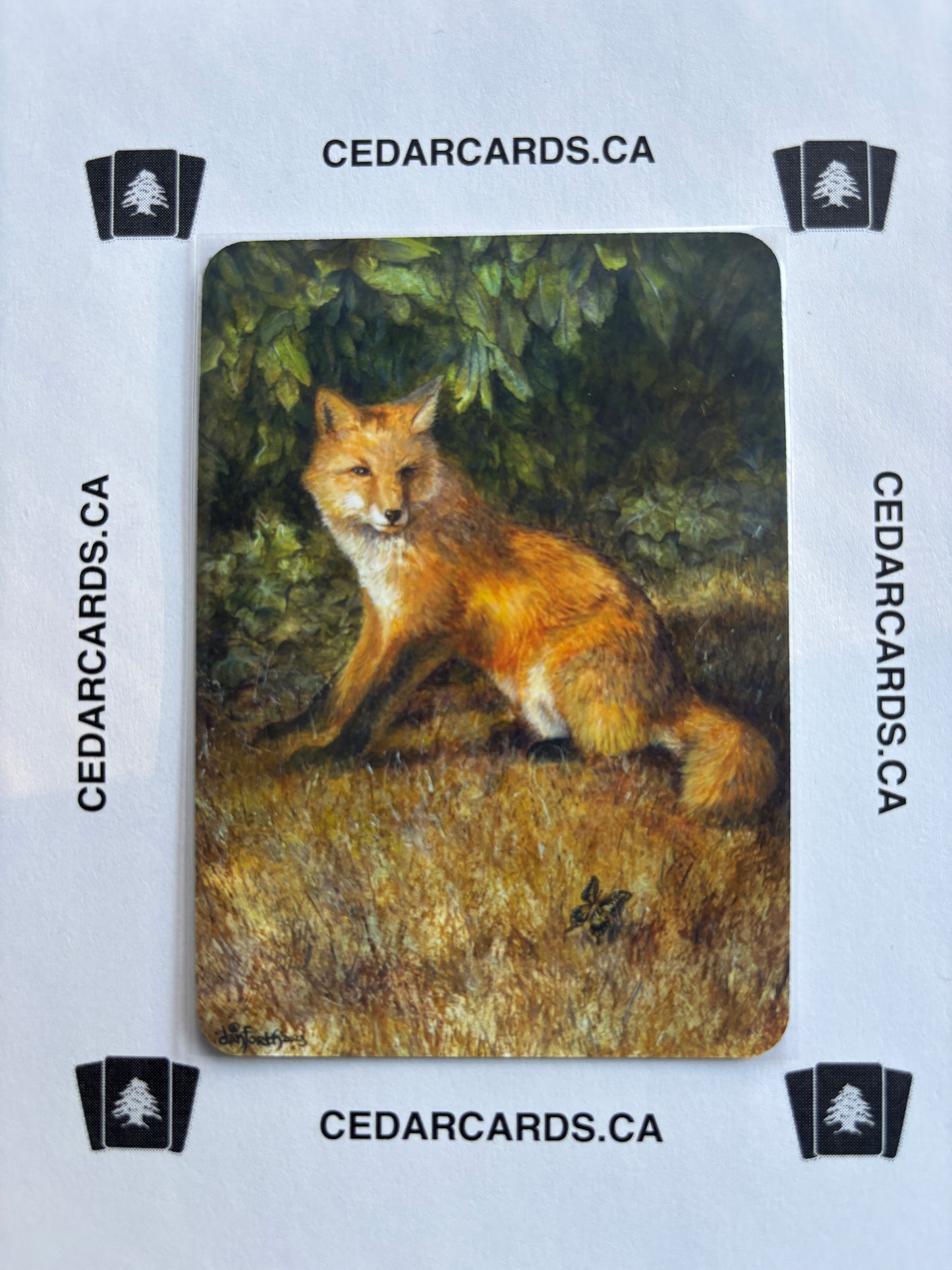 Sly Fox – Arthurian Legends (Foil)