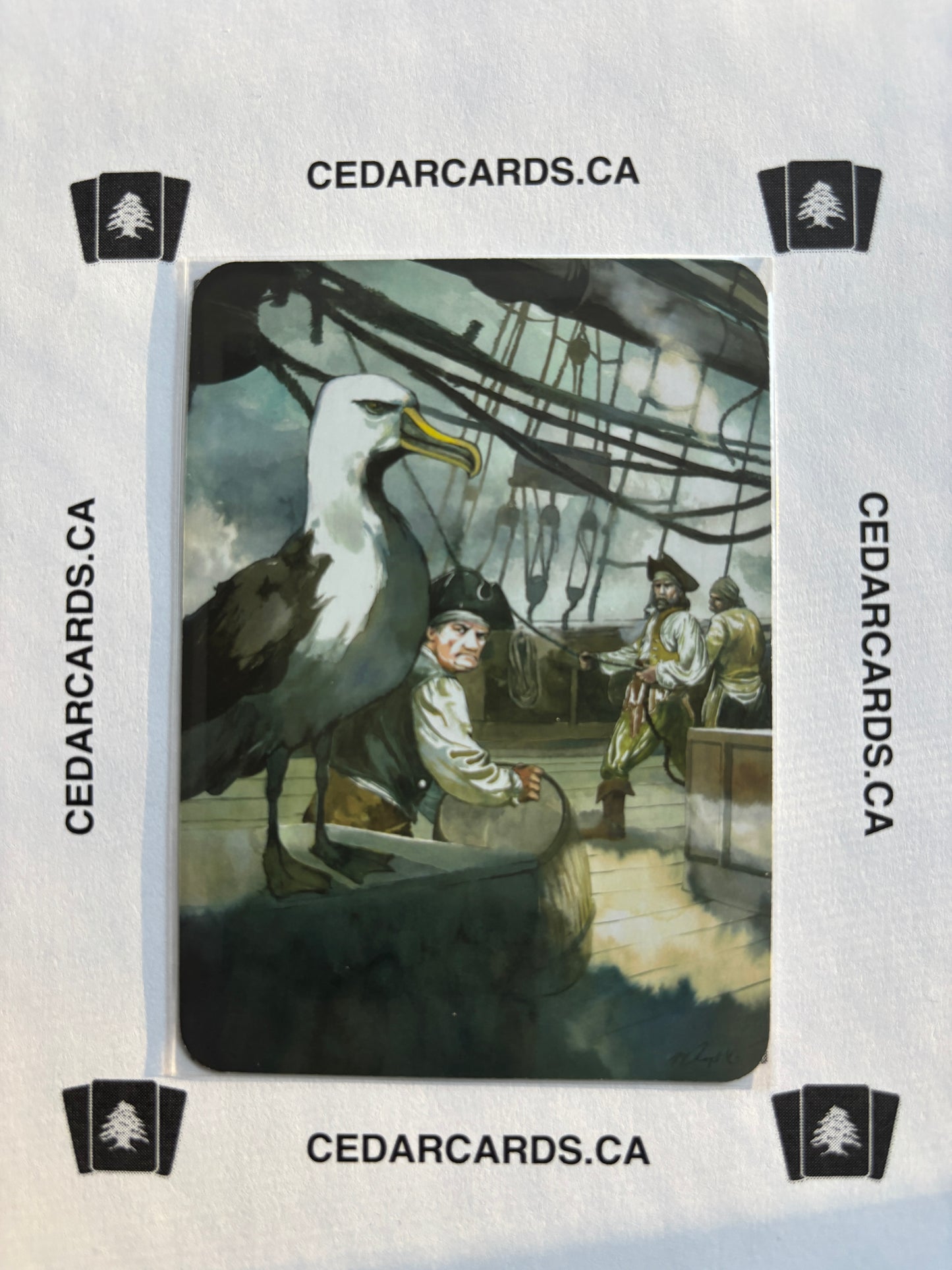Accursed Albatross – Beta (Foil)