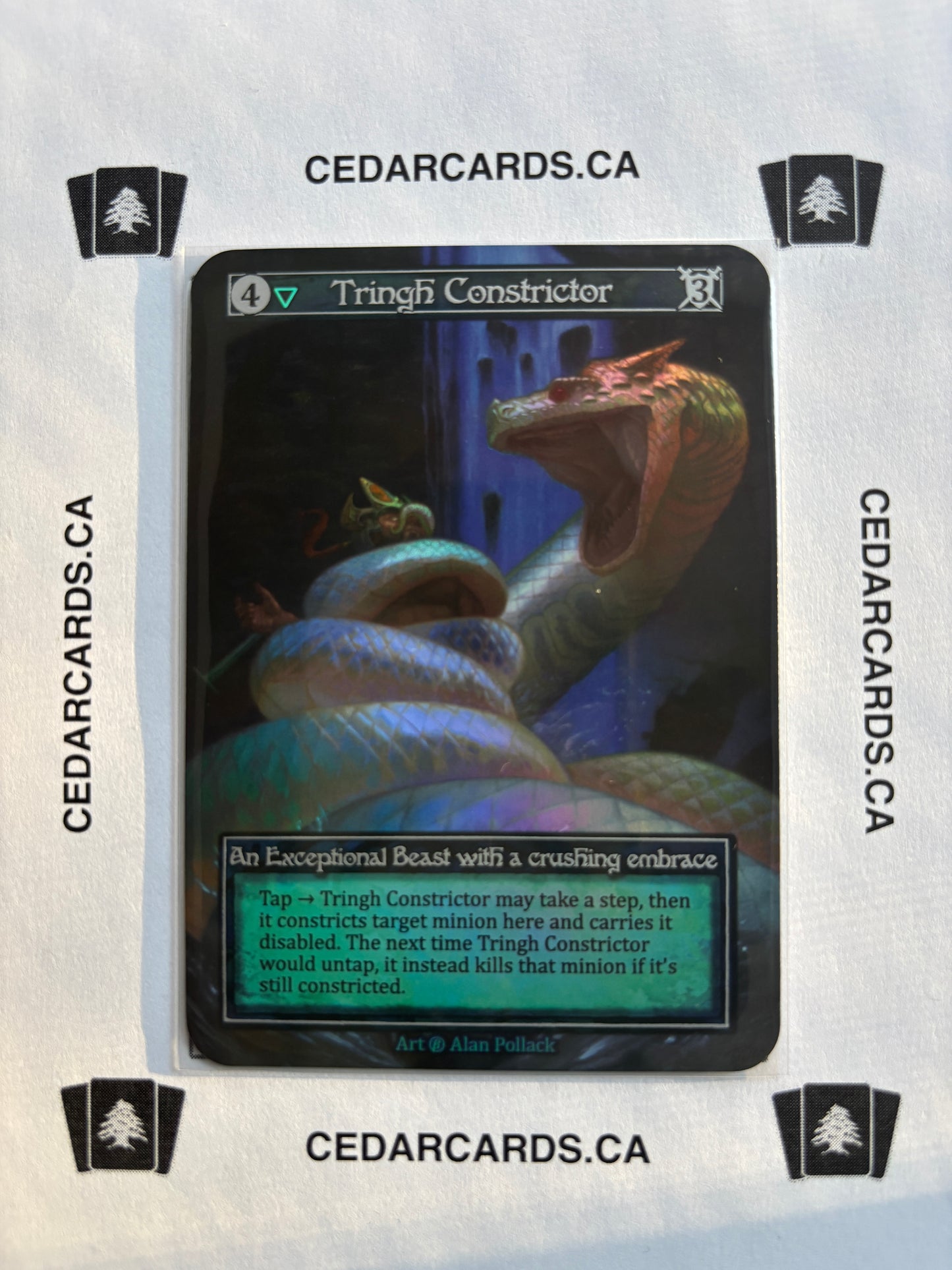 Tringh Constrictor – Beta (Foil)