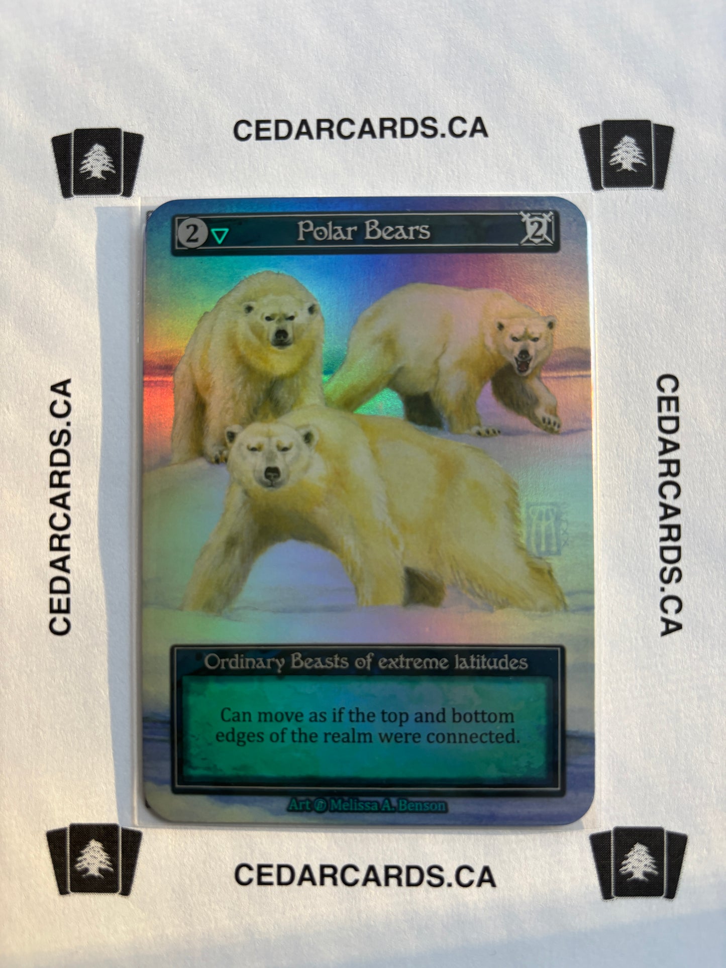 Polar Bears – Beta (Foil)
