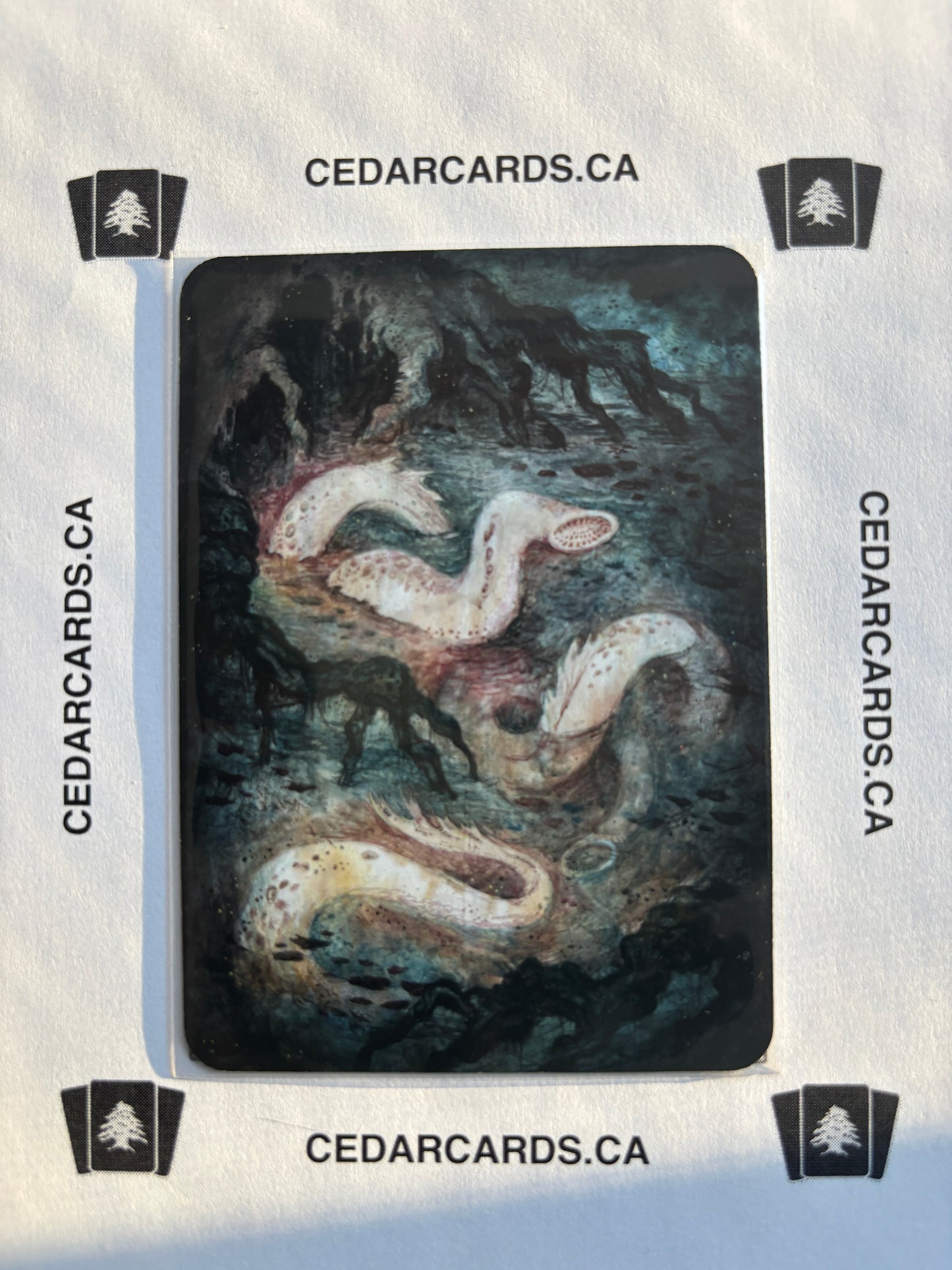 Muck Lampreys – Beta (Foil)