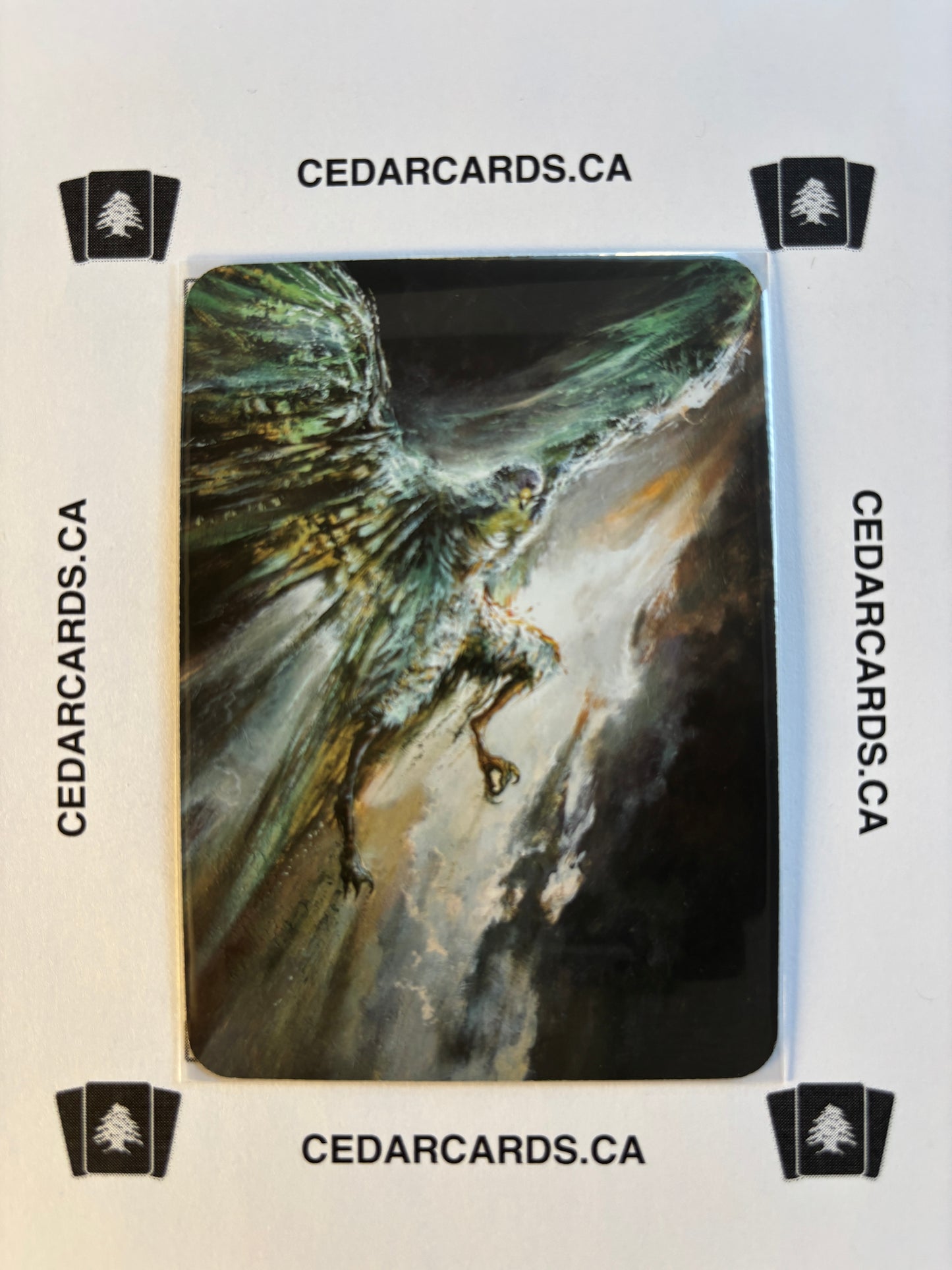 Peregrine Apparation – Beta (Foil)